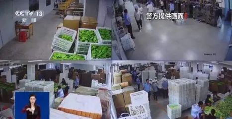 警方破獲億元網(wǎng)紅減肥食品大案，80人落網(wǎng)！